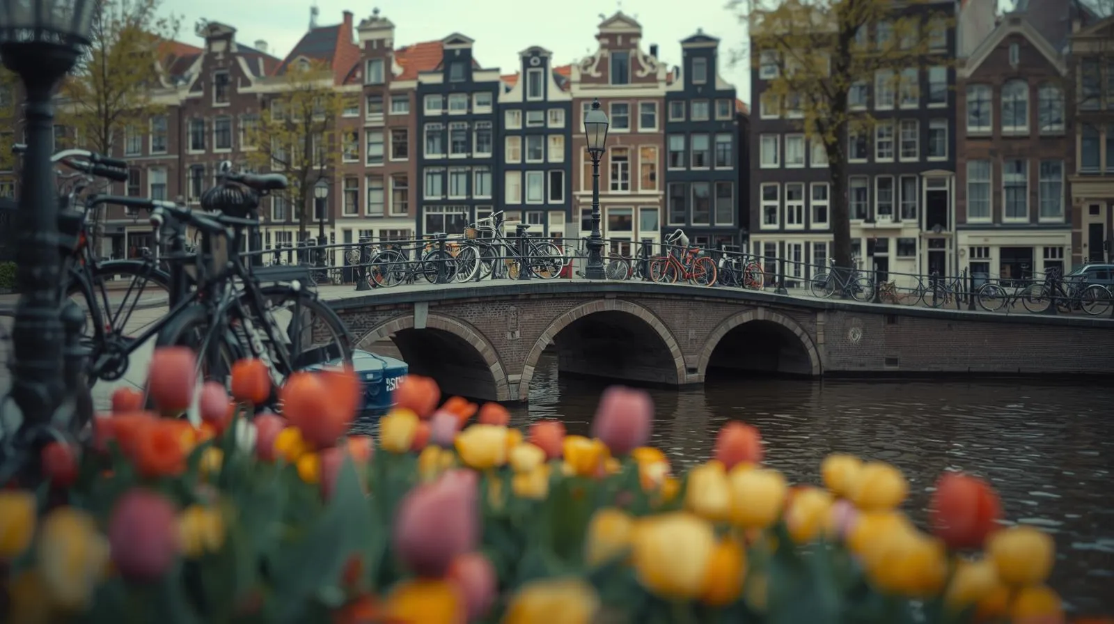 Amsterdam Netherlands